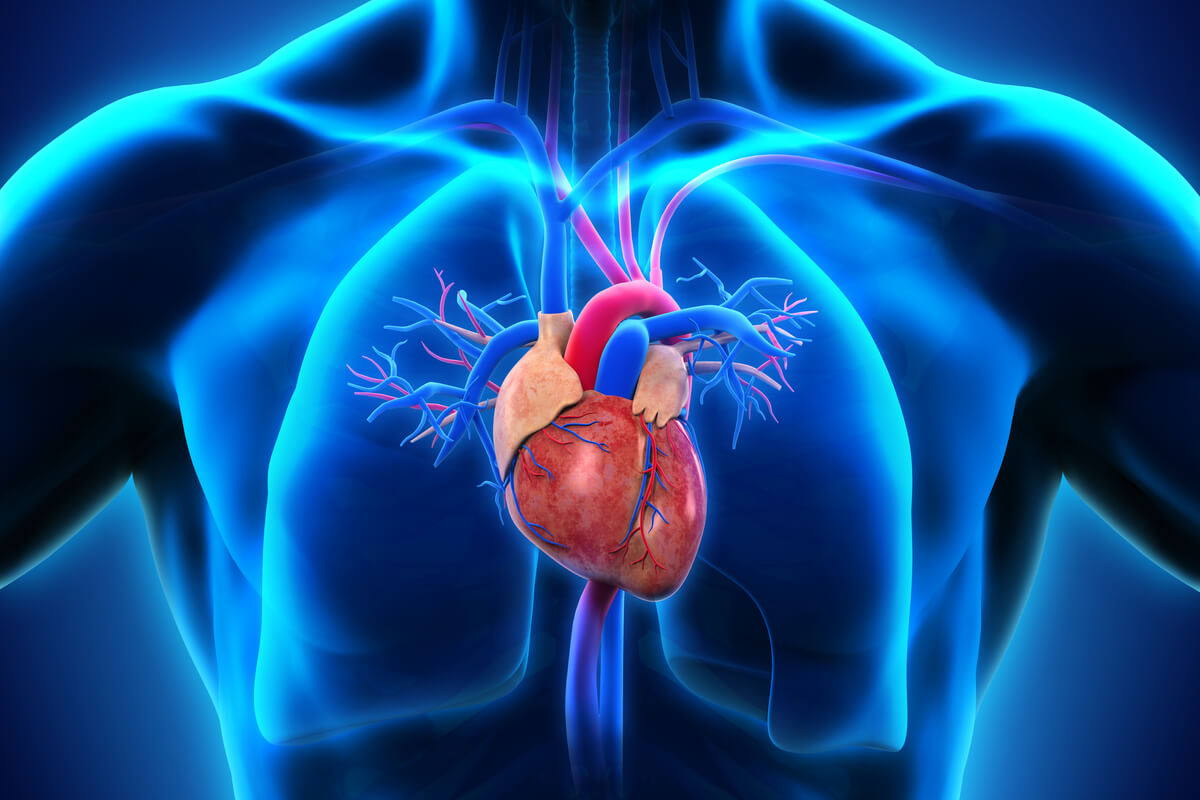Prevenção de doença cardiovascular - Dra. Tatiana Bastos